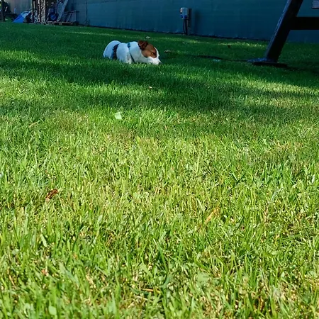 Nad Krutynia Lejlighed *